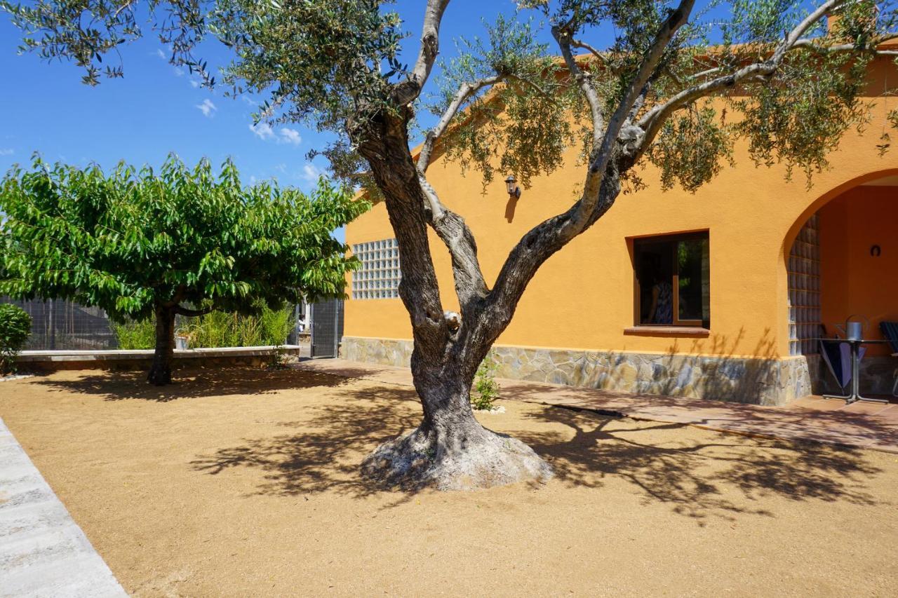 Casa Martina Villa Кардедеу Екстериор снимка